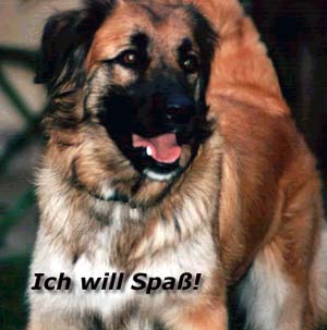 neuhofer.jpg